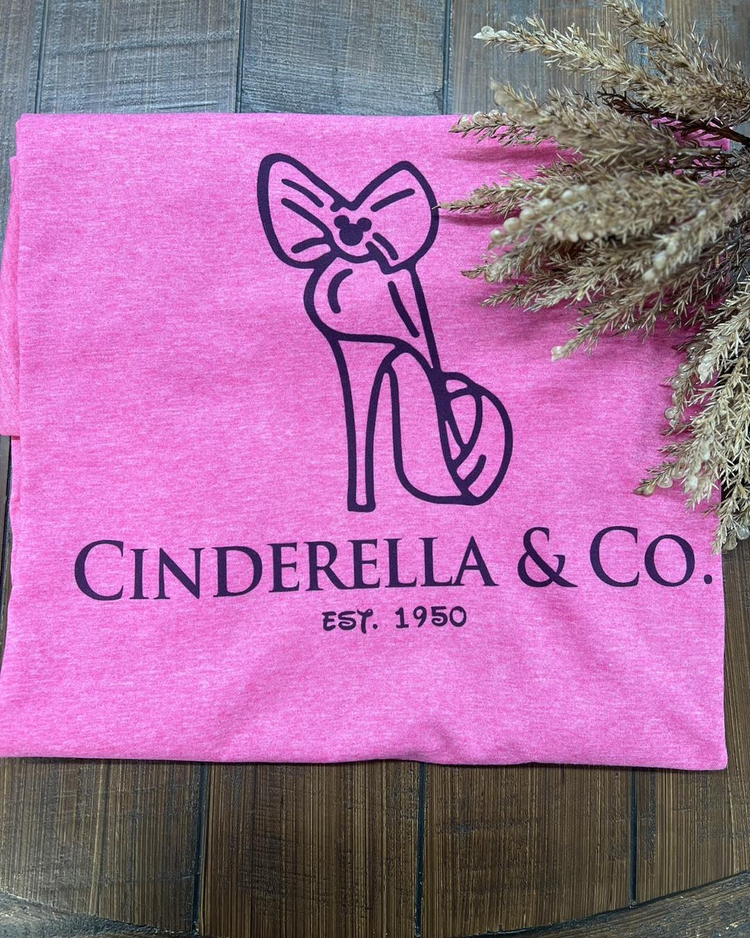 CINDERELLA & CO